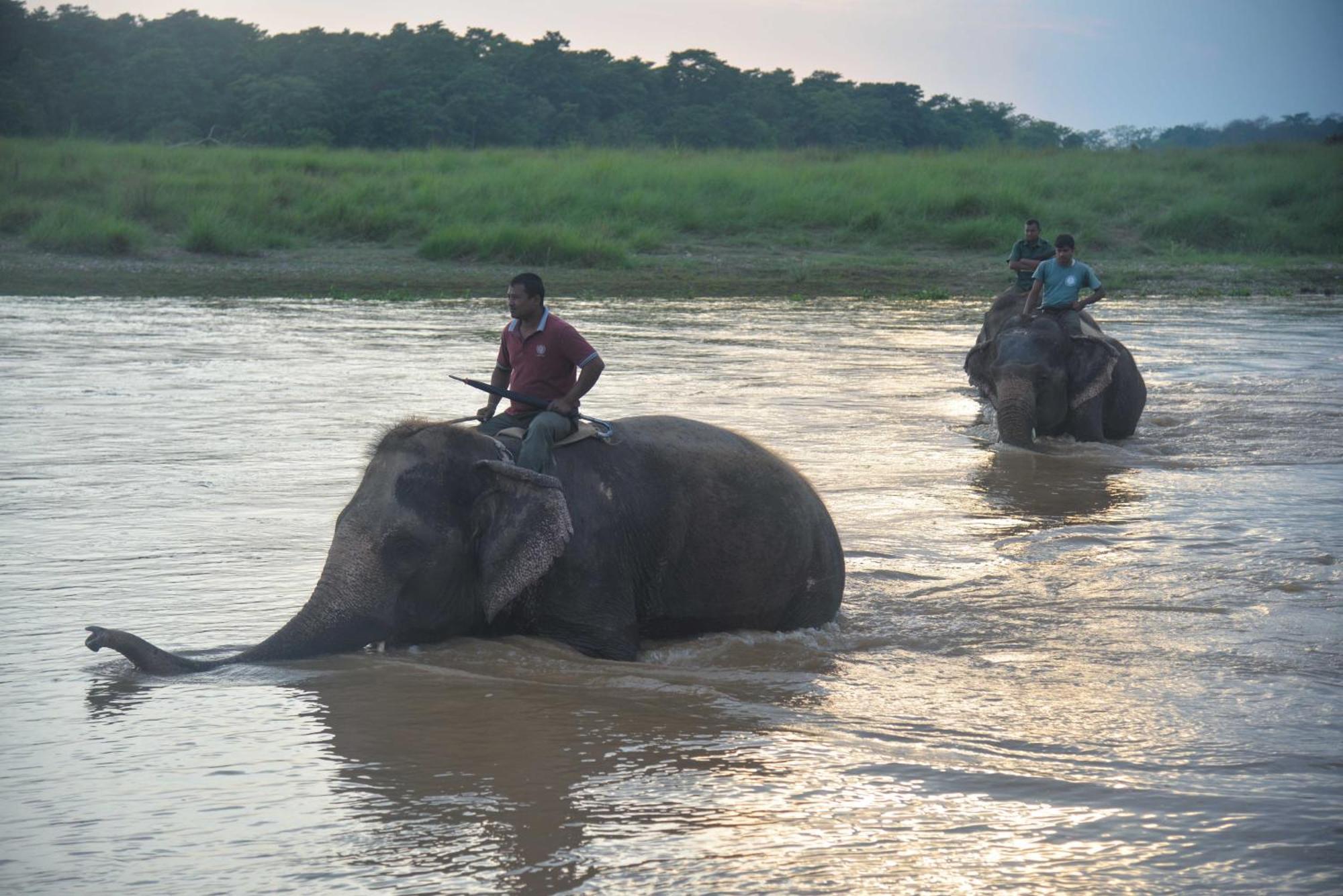 Greenland Safari, Sauraha Εξωτερικό φωτογραφία