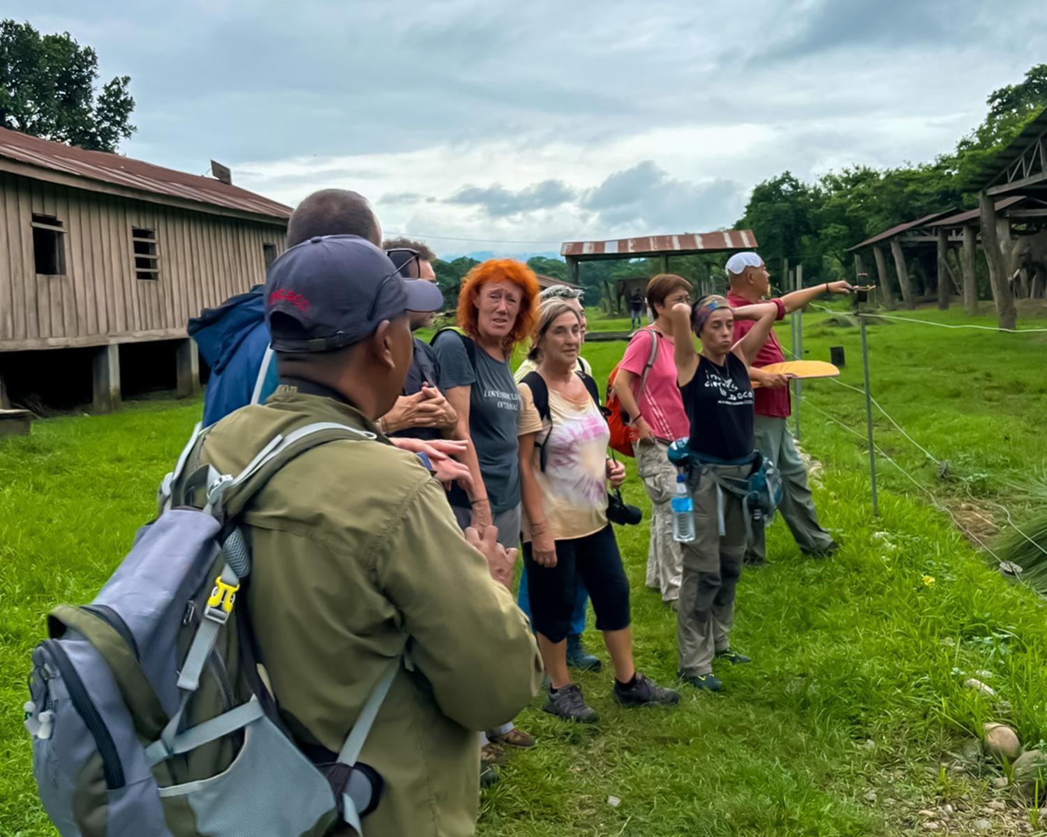 Greenland Safari, Sauraha Εξωτερικό φωτογραφία